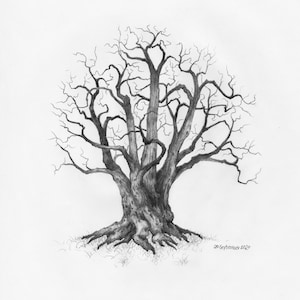 Original Pencil Sketch of Tree part of a large art series, Tree Drawing, Wall Art. Home Decor, Framed and Matted. Owentree Studios