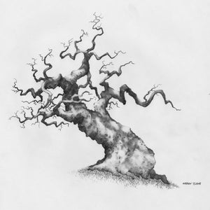 Original Pencil Sketch of Tree part of a large art series, Tree Drawing, Wall Art. Home Decor, Framed and Matted. Owentree Studios