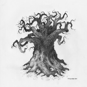 Original Pencil Sketch of Tree part of a large series. Tree Drawing, Wall Art. Home Decor, Framed and Matted. Owentree Studios