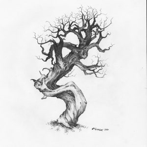 Original Pencil Sketch of Tree part of a large art series, Tree Drawing, Wall Art. Home Decor, Framed and Matted. Owentree Studios