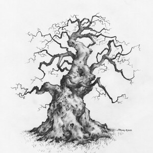 Original Pencil Sketch of Tree part of a large art series, Tree Drawing, Wall Art. Home Decor, Framed and Matted. Owentree Studios