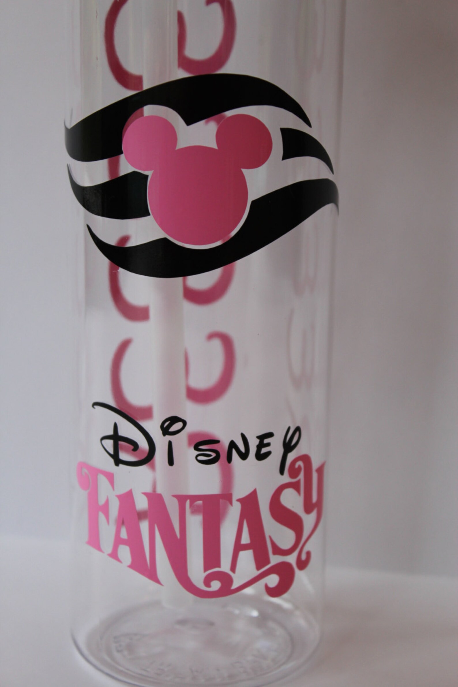Personalized Disney Cruise Water Bottles with Cruise name and Etsy