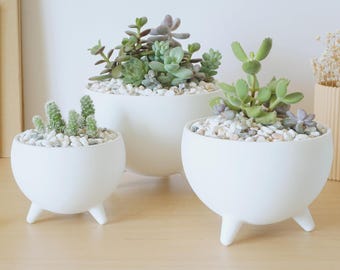 Half Sphere Succulent Planters Pots - Modern and Minimal - White Color