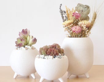 Sphere Succulent Planters Pots - Sandstone Color