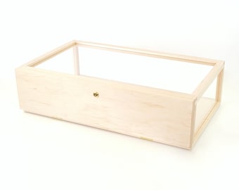 Vitrina para joyería con puerta abatible y cerradura.