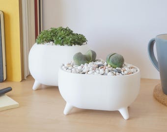 Capsule Succulent Planters Pots - Modern and Minimal