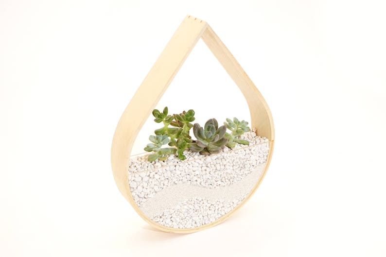 Raindrop Planter Terrarium Bent Wood image 1