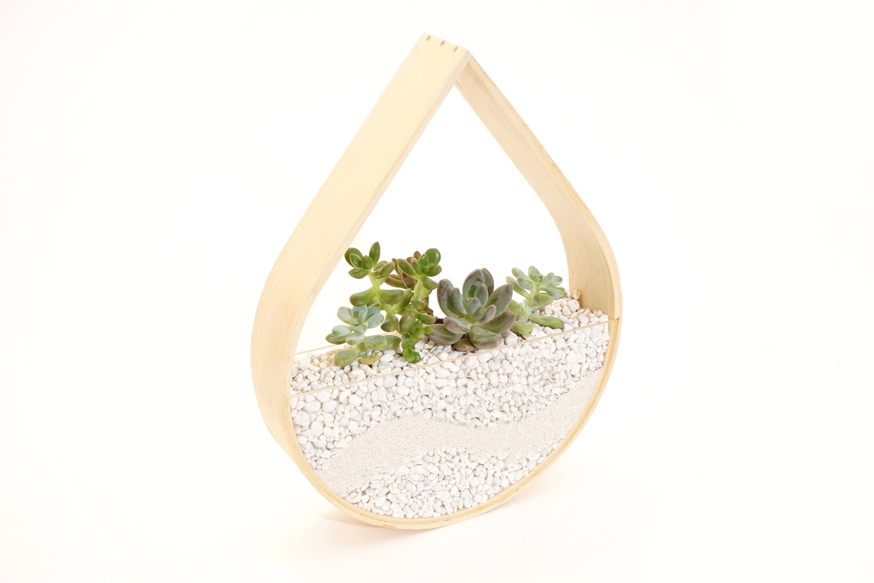 Terrarium Raindrop Planter Bois Plié