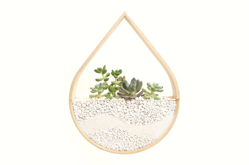 Raindrop Planter Terrarium Bent Wood image 2