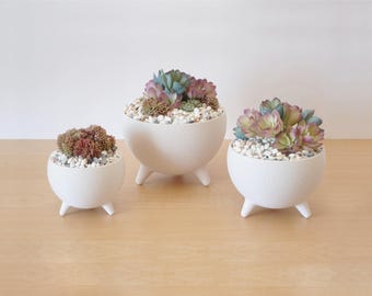 Half Sphere Succulent Planters Pots - Sandstone Color