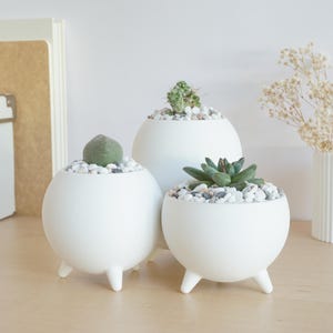 May include: Three white ceramic planters with short legs, each containing a small succulent plant. The planters are arranged in a pyramid shape, with the largest planter at the bottom and the smallest planter at the top.