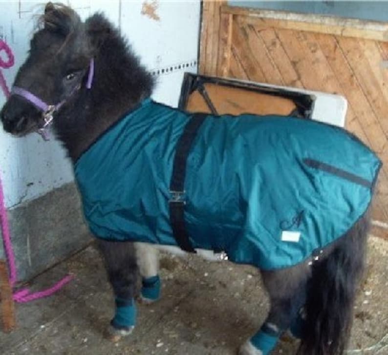 PDF Miniature Horse or Small Pony Blanket/sheet Pattern Etsy