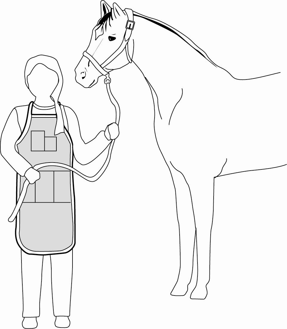 PDF Horse Grooming Apron Pattern Etsy UK