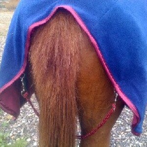 PDF Horse Blanket and Sheet Pattern image 3