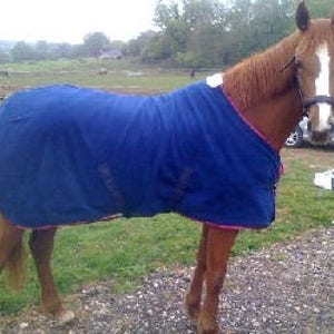 PDF Horse Blanket and Sheet Pattern image 2