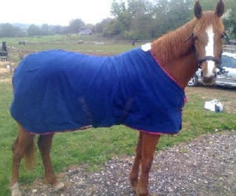 PDF Horse Blanket and Sheet Pattern image 2