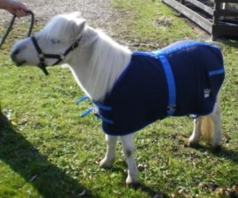 PDF Small Miniature Horse Blanket/Sheet Pattern Etsy