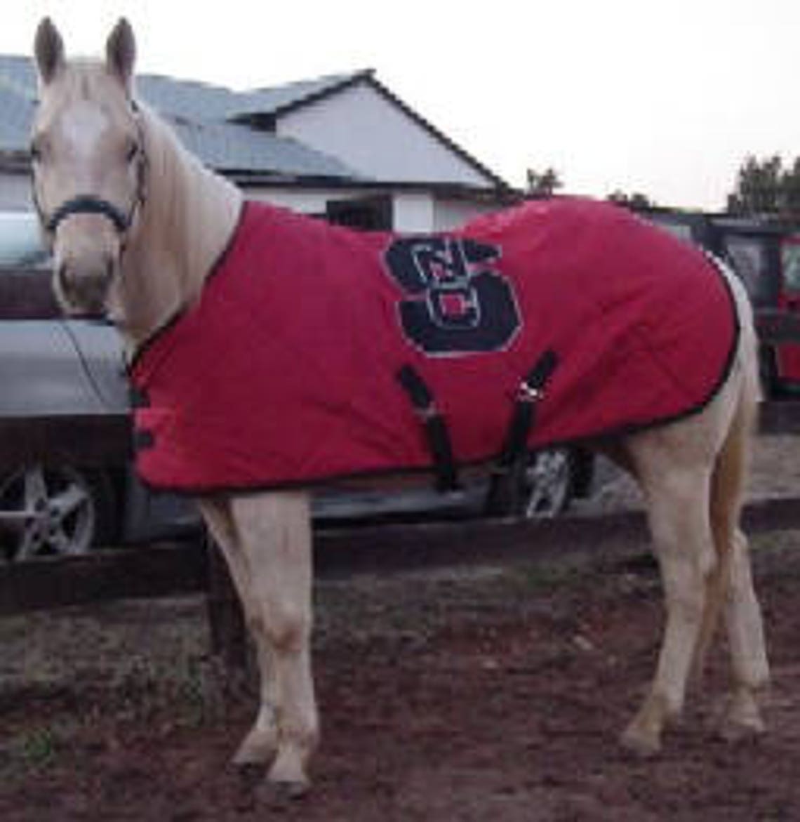 PDF Horse Blanket and Sheet Pattern Etsy