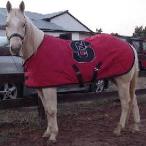 PDF Horse Blanket and Sheet Pattern image 5