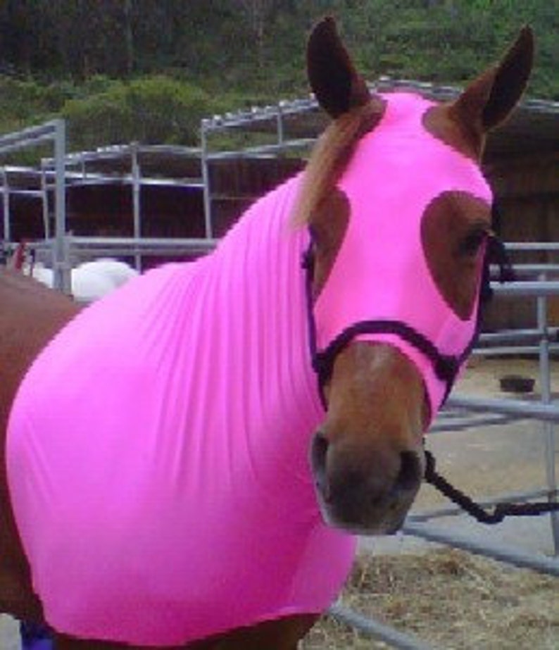 PDF Stretch Horse Hood Pattern Etsy