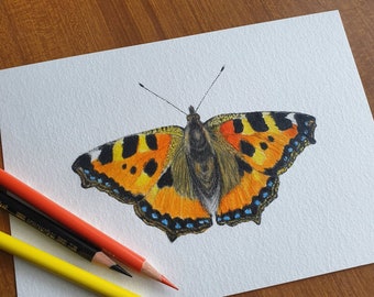 Original Colour Pencil Butterfly Drawing