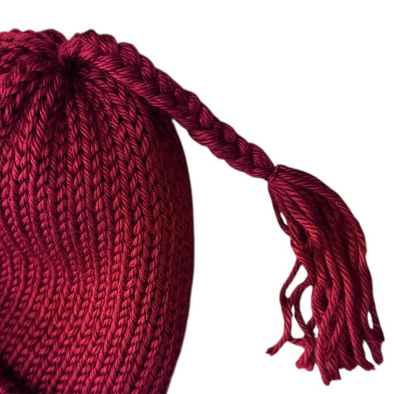 MELT THE ICE Hat Beanie | Braided Tassel | Handmade, Knitted with Brim image 7