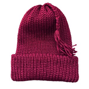 MELT THE ICE Hat Beanie | Braided Tassel | Handmade, Knitted with Brim image 5