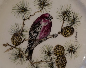 Vintage Royal Cauldon Pine Grosbeak Henry Pausch Bristol Ironstone Decorated Border, Flowers Lace Birds Vines Scalloped Rim Made in England