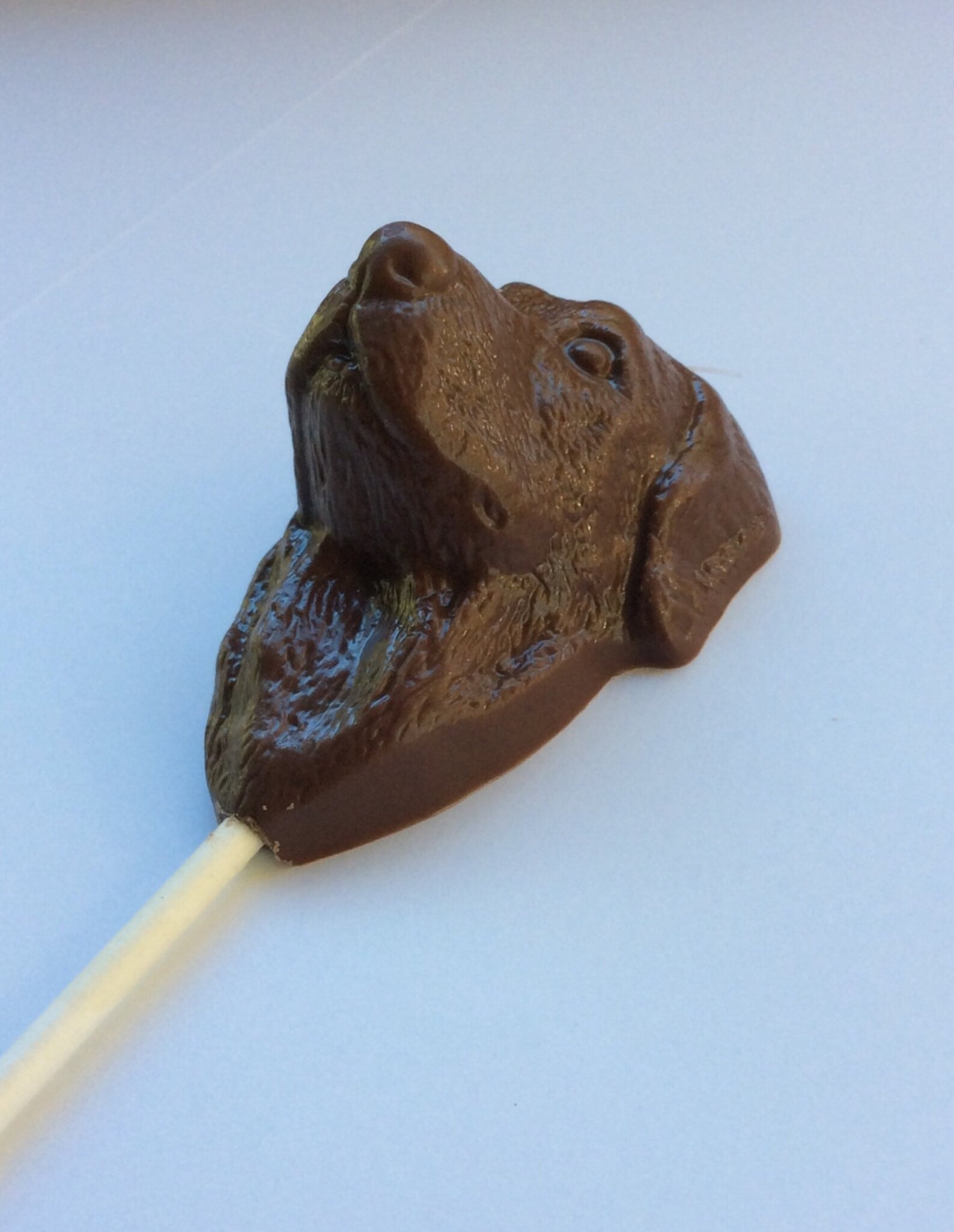12 Chocolate Dog Pops Chocolate Lab Candy Chocolate Dog Favors Etsy