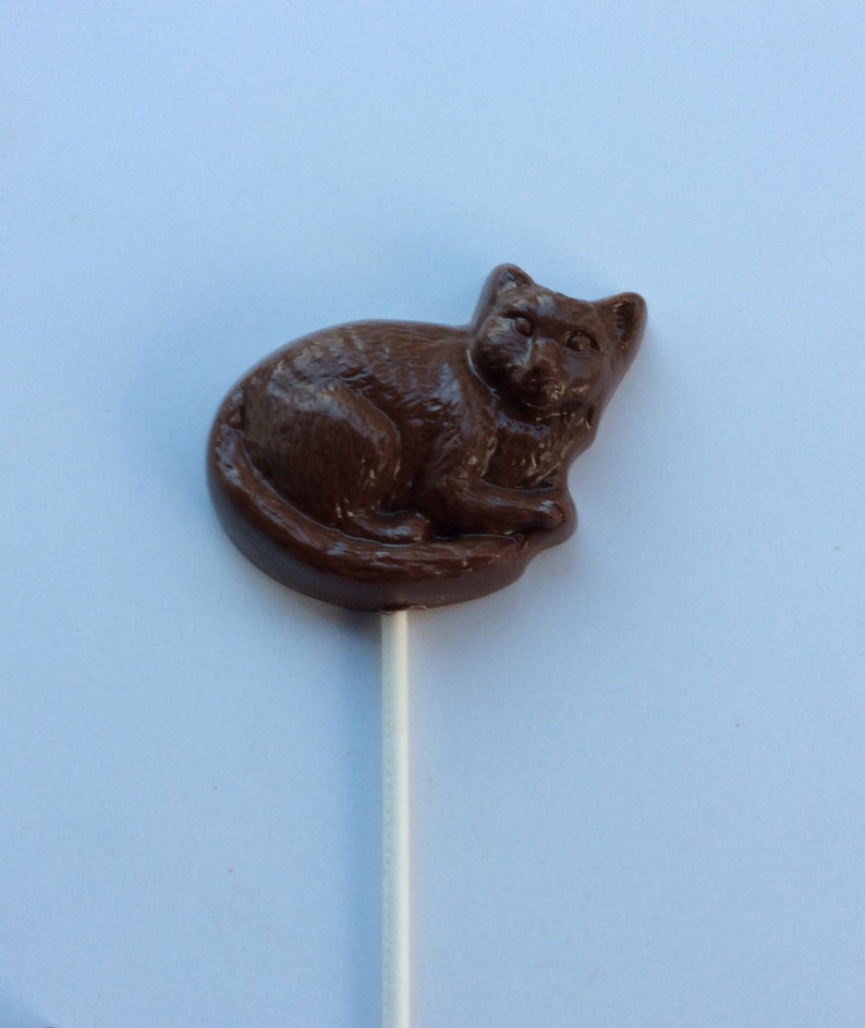 12 Chocolate Cat Pops Chocolate Cat Candy Chocolate Cat Etsy