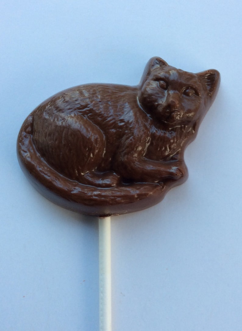 12 Chocolate Cat Pops Chocolate Cat Candy Chocolate Cat Etsy