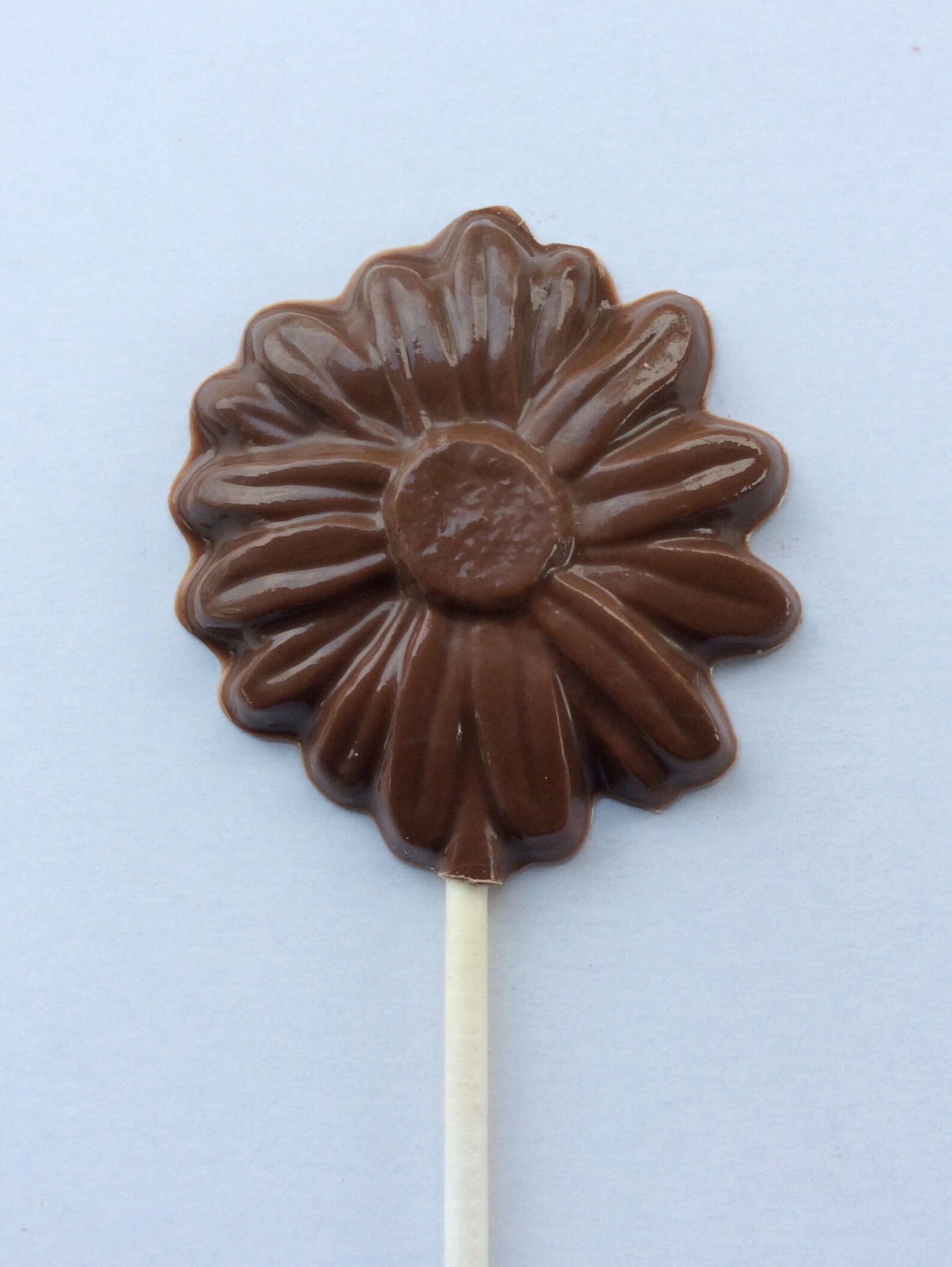 12 Daisy Chocolate pops chocolate daisy favors chocolate daisy Etsy