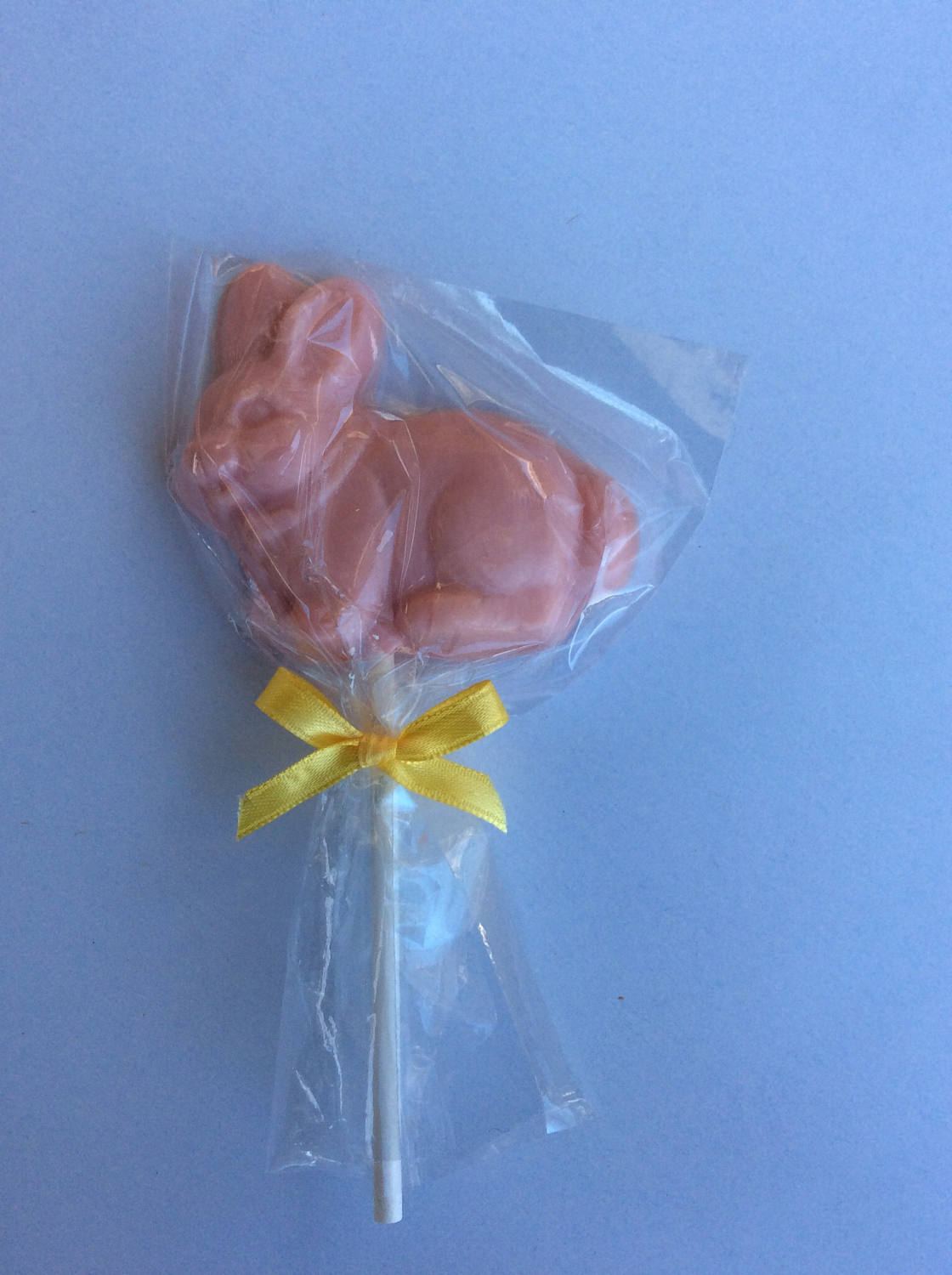 12 Bunny Chocolate pops chocolate bunny lollipop Etsy
