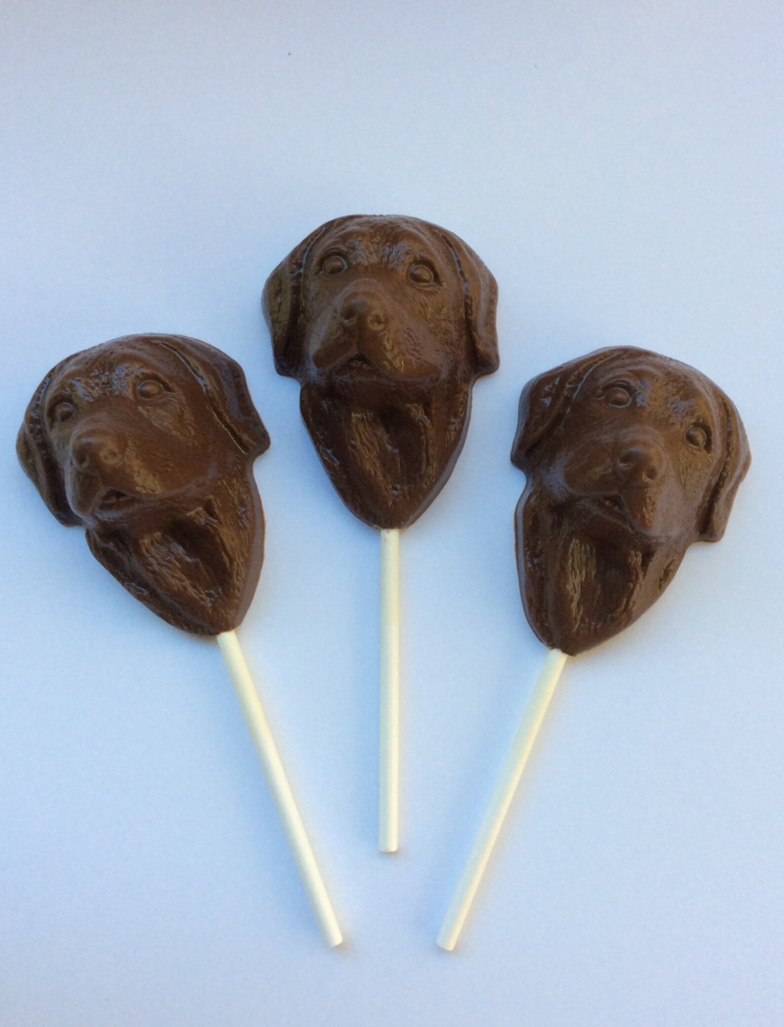 12 Chocolate Dog Pops Chocolate Lab Candy Chocolate Dog Favors Etsy