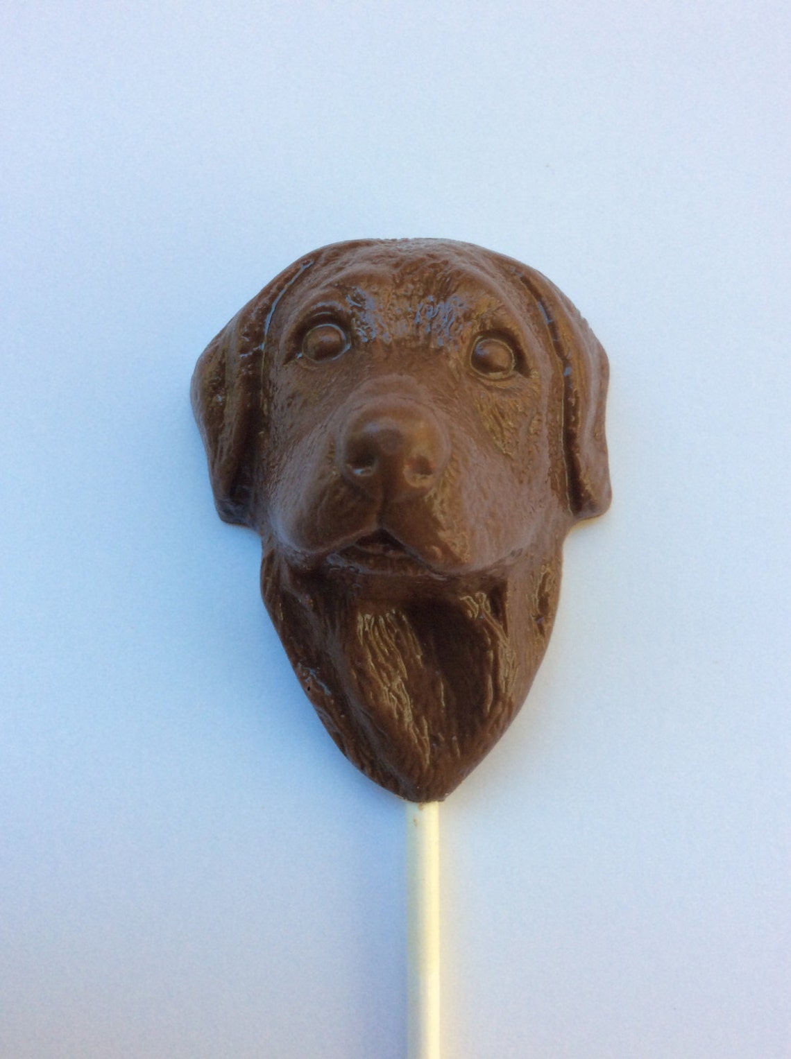 12 Chocolate Dog Pops Chocolate Lab Candy Chocolate Dog Favors Etsy