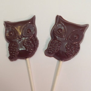 10 Chocolate Owl pops owl favors chocolate owl lollipop