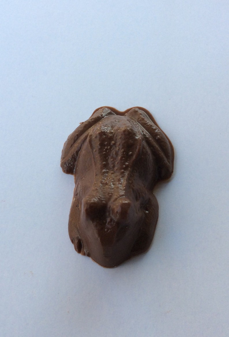 30 Chocolate Frogs Favors Chocolate Lollipop Etsy