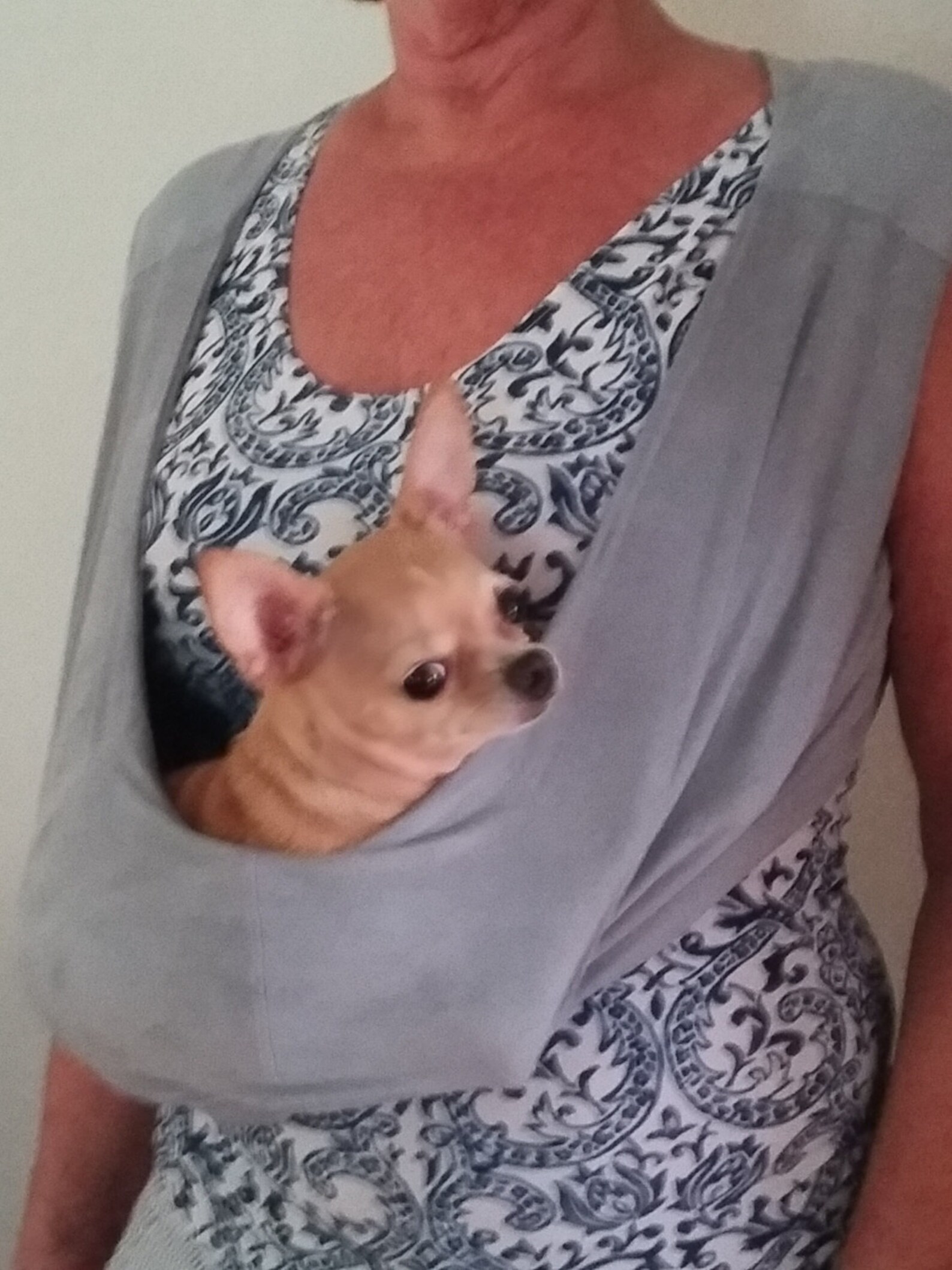 Toy Dog Carrier .53lb. pets. Hands free pet carrier. Etsy