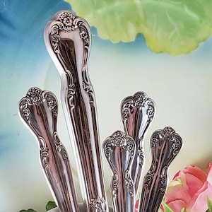 1952 DAYBREAK aka ELEGANT LADY Service for 4, Five piece place settings, Vintage Rogers & Bro silverplate flatware, Antique silverware set