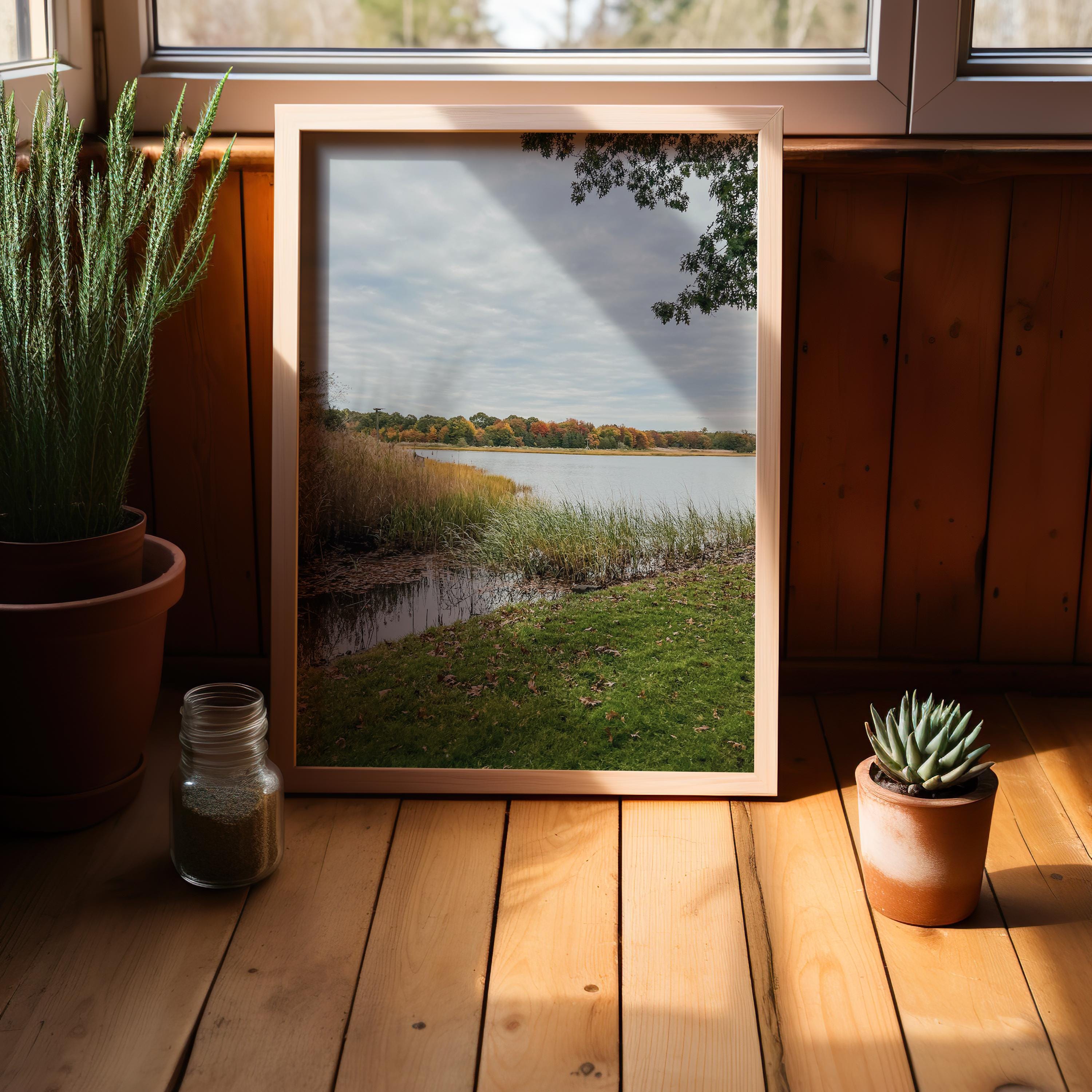 Autumn Tree Line Across Coles River Massachusetts Photograph Fall ...