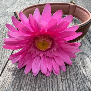 Dogs Pink Daisy Flower Collar Attachment Collar Accessories Collar Attachments Wedding Flower Dog Flowers For Collars
