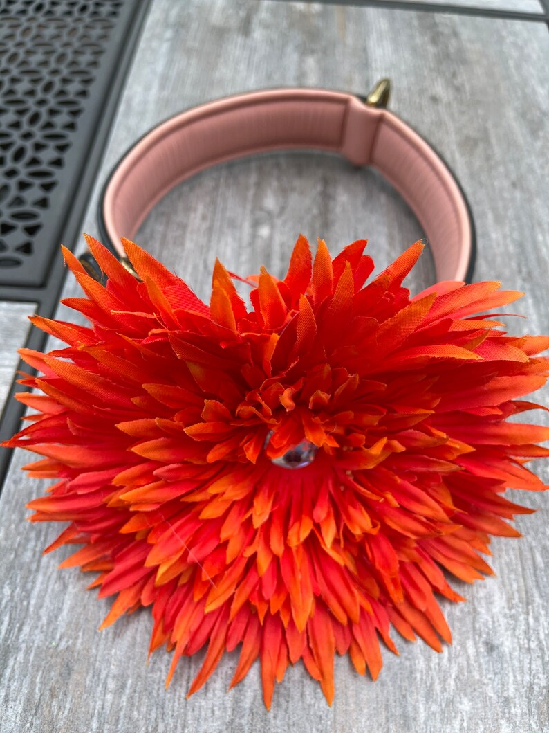 Dogs Collar Flower, Extra Large Orange Flower, Collar Attachment, Collar Accessory image 3