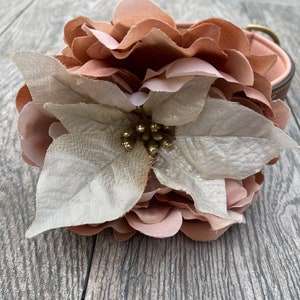 May include: A pink and white fabric flower with gold accents. The flower is attached to a brown leather collar.