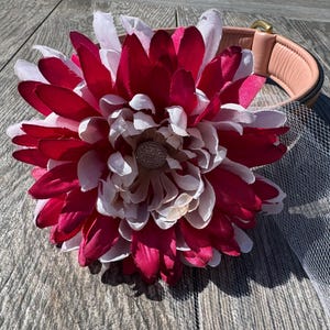 Dogs Collar Flowers, Dog Collar Accessories, Collar Accessory Extra Large Flower