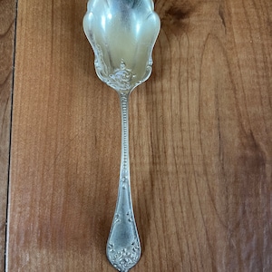 May include: A silver sugar spoon with an ornate design on the handle and a scalloped bowl.