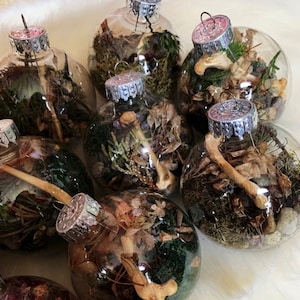 Handmade Christmas Nature Ornaments w/ Moss, Leaves, Dried Flowers, Rocks and Ethically Sourced Animal Bones