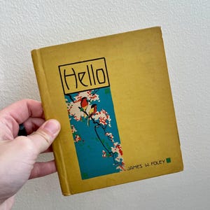 VINTAGE ! Livre de poésie Hello de James Foley