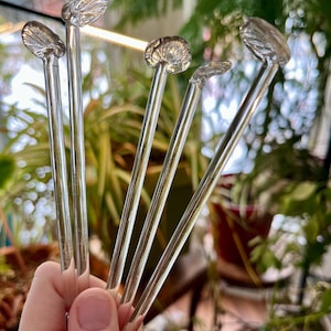 May include: Five clear glass stirring sticks with rounded, scalloped tops. The sticks are held in a hand.