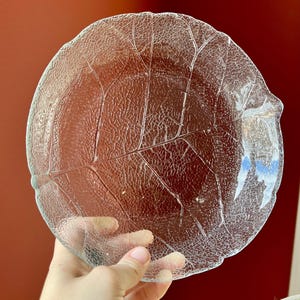 Puede incluir: Un plato de vidrio transparente con un diseño de hoja. El plato tiene una superficie texturizada que se asemeja a las venas de una hoja.