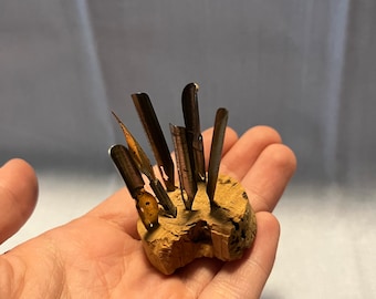 VINTAGE! Quill Caligraphy Pen Tips in Cork